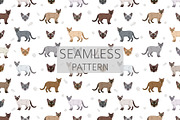 Tonkinese cat clip art, an Animal Illustration by pet design shop (Thumbnail 5 of 5)