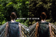 15 Into the Wild Presets, a Preset Add-On by Oak Digital Studios (Thumbnail 2 of 9)