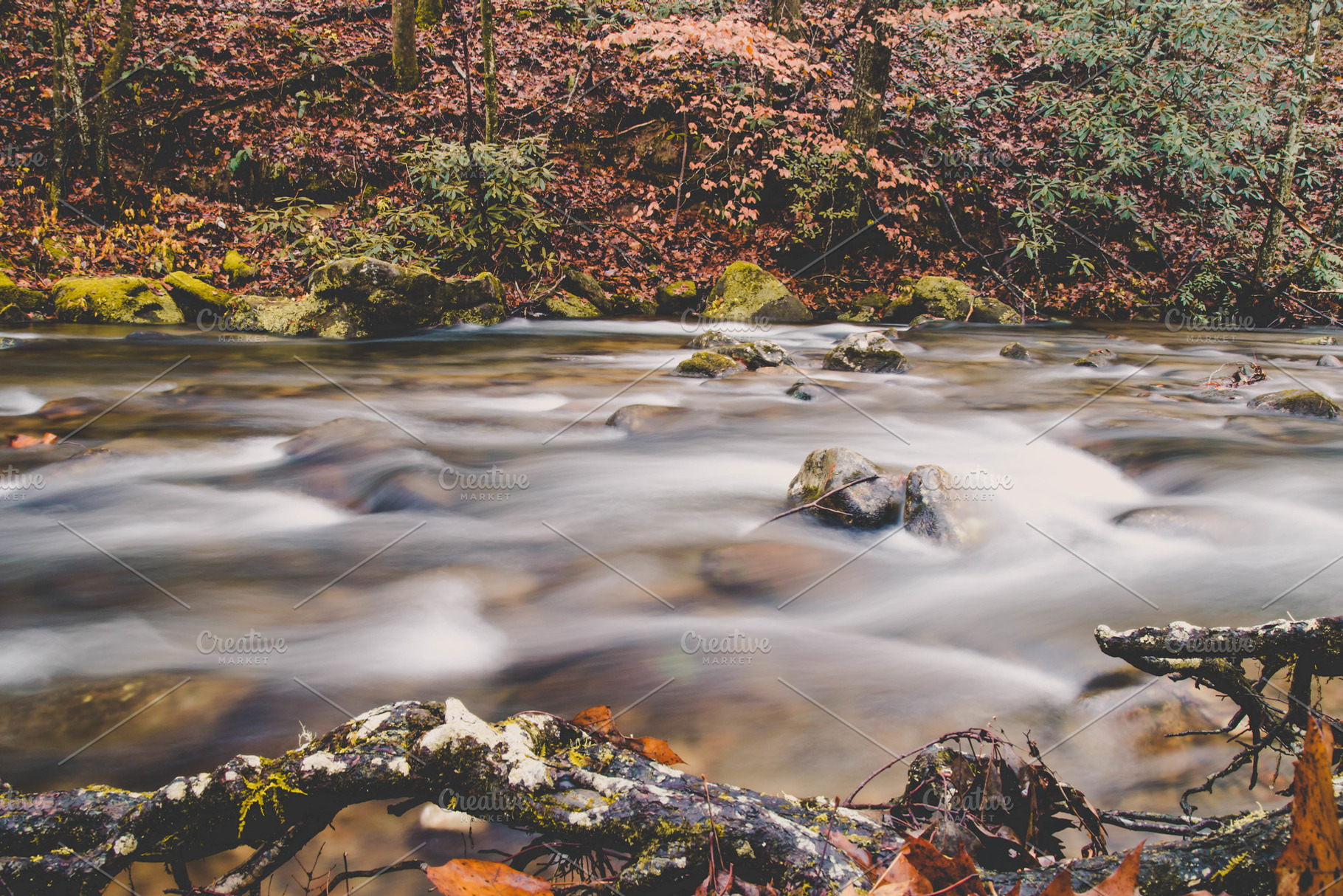Rushing River, a Nature Photo by Tamara Lance