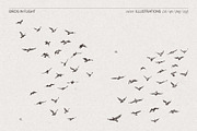 Sketch-Style Bird Flock Vector Set, an Animal Illustration by TheMountBirdStudio (Thumbnail 4 of 11)