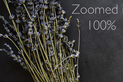 Lavender Dream Chalkboard Photos, a Product Mockup by Kudzu Camera (Thumbnail 2 of 7)