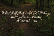 Likonder font, a Script Font by Anna Ozerina (Thumbnail 2 of 2)