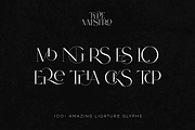 SALE! Type Maestro -  serif font, a Serif Font by VP Fonts (Thumbnail 15 of 25)