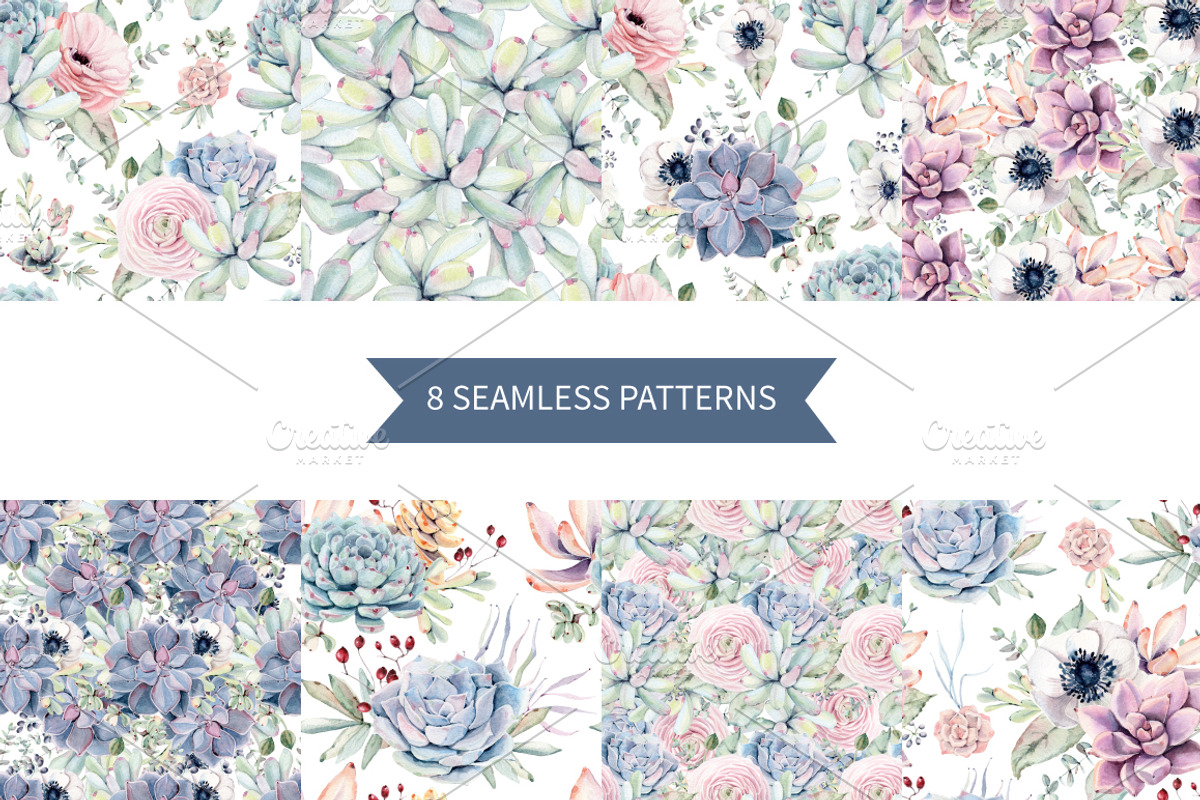 Oh my Succulents watercolor set, an Illustration by Lemaris (Photo 5 of 9)