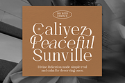 Voices Miracle - Minimal Elegant, a Serif Font by Shakira Studio (Thumbnail 7 of 10)