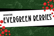 Evergreen Berries, a Sans Serif Font by Kitaleigh (Thumbnail 1 of 3)