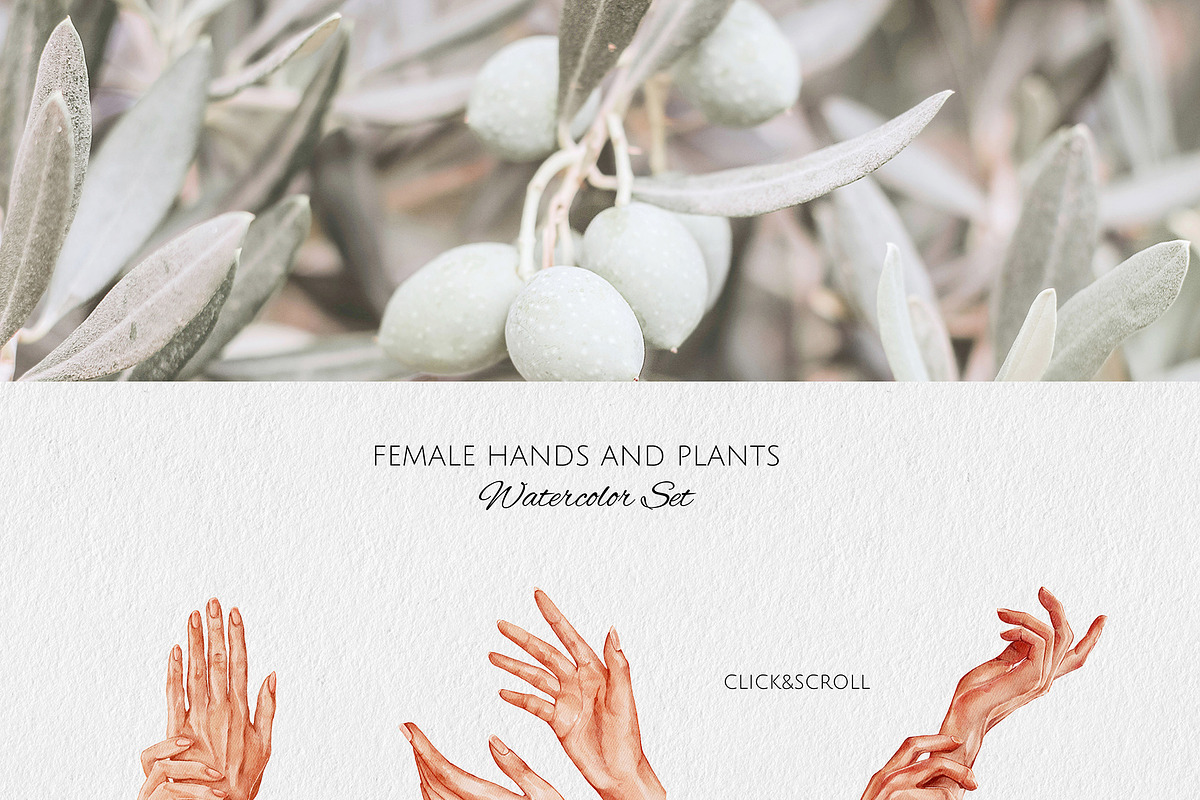 Female Hands and Plants Watercolor, a Person Illustration by Yakovleva Margarita (Photo 2 of 9)