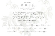 Santhana lovely script, a Script Font by Say Studio (Thumbnail 9 of 10)