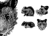100 Tattoo-Style Tee Designs, an Object Illustration by Design by sebrodbrick (Thumbnail 15 of 34)