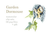 Watercolor Garden Dormouse, an Object Graphic by Budogoshch (Thumbnail 1 of 4)