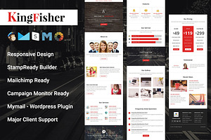 KingFisher-Responsive Email Template