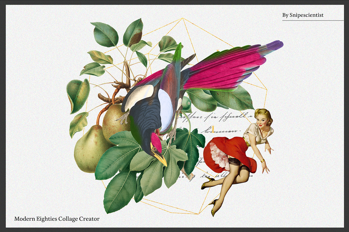 BlackSale! Collage Master Collection, an Object Graphic by SNIPESCIENTIST (Photo 73 of 94)