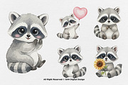 15 Bundle Watercolor Baby Raccoon, an Animal Illustration by Morspective (Thumbnail 6 of 8)