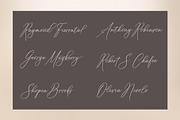 Vignette Signature Font, a Script Font by Byuly Ayika (Thumbnail 10 of 12)