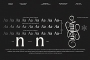 Amilent | 36 Style Font, a Serif Font by IM Studio (Thumbnail 6 of 13)