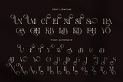 History Elegant Ligature Serif Font, a Serif Font by Elegant Font (Thumbnail 8 of 8)