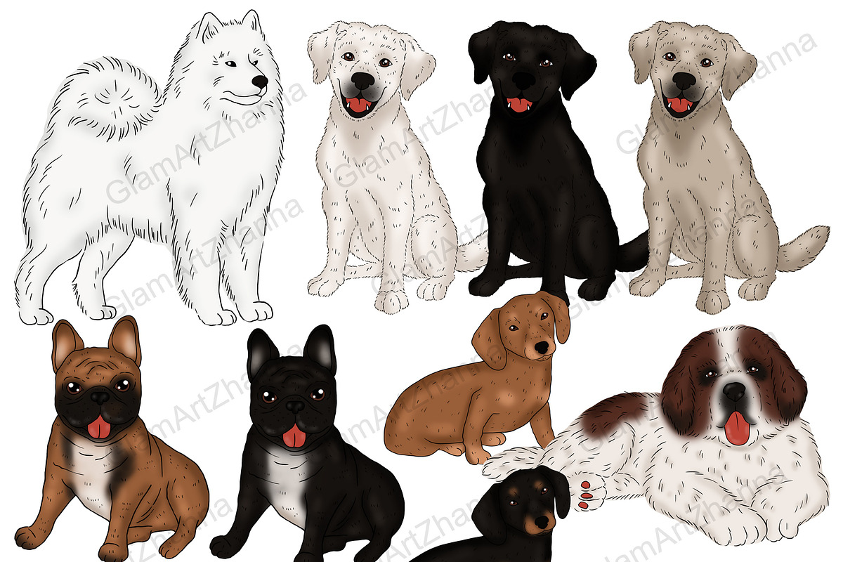Pets Clipart, an Animal Illustration by GlamArtZhanna (Photo 4 of 5)