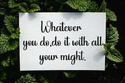 Spicy Cafe | Script Font, a Handwritten Font by Scratchones (Thumbnail 4 of 9)