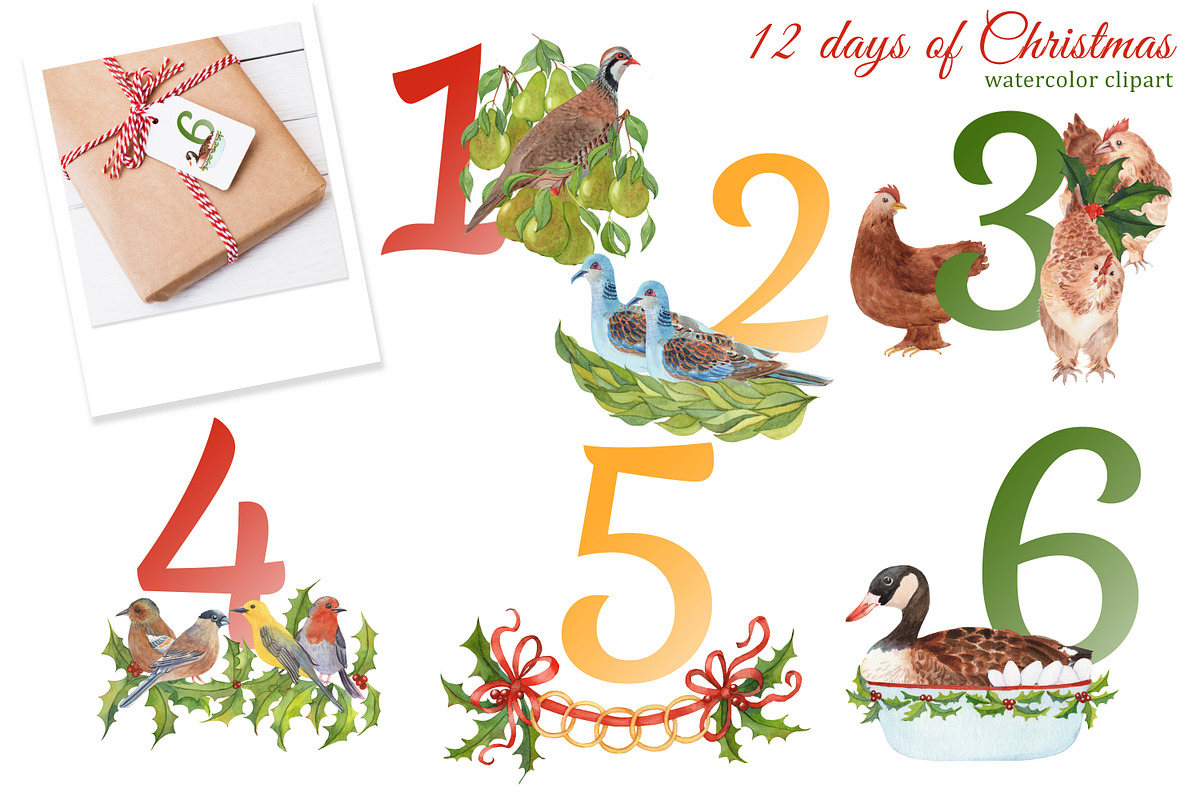 12 Days of Christmas, a Person Illustration by s.yanyeva (Photo 3 of 7)