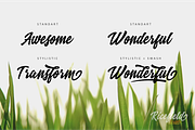 Ricefield Script, a Script Font by Rudhi Sasmito (Thumbnail 2 of 8)