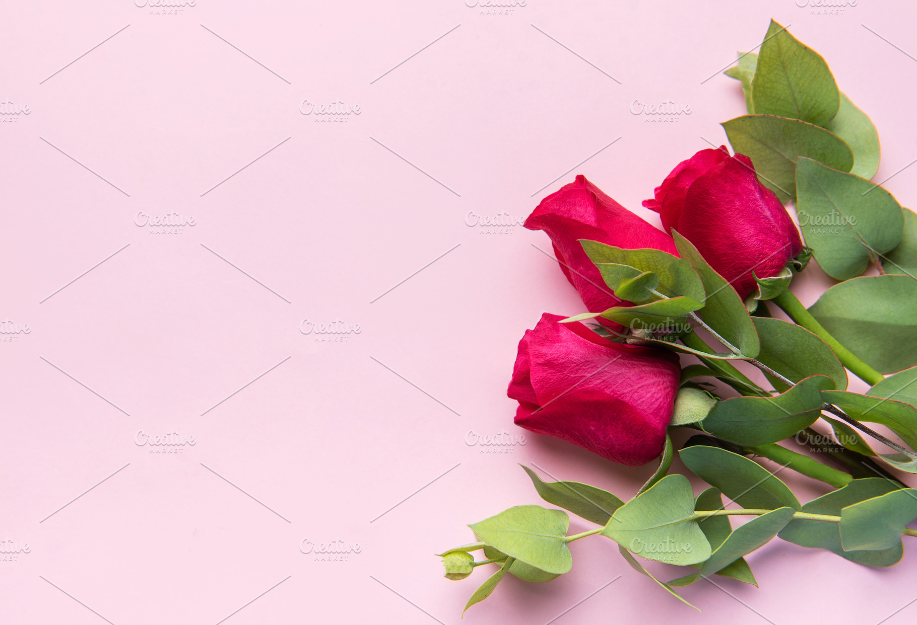 Red roses bouquet with eucalyptus on pink background, a Holiday Photo by Olena Rudo
