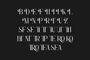 ROSEAN -Modern Ligature Serif Font, a Serif Font by AnnofaType (Thumbnail 7 of 8)