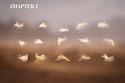 Desert Sand - Dunes Overlays Set, a Texture Graphic by Kaleriia (Thumbnail 4 of 12)
