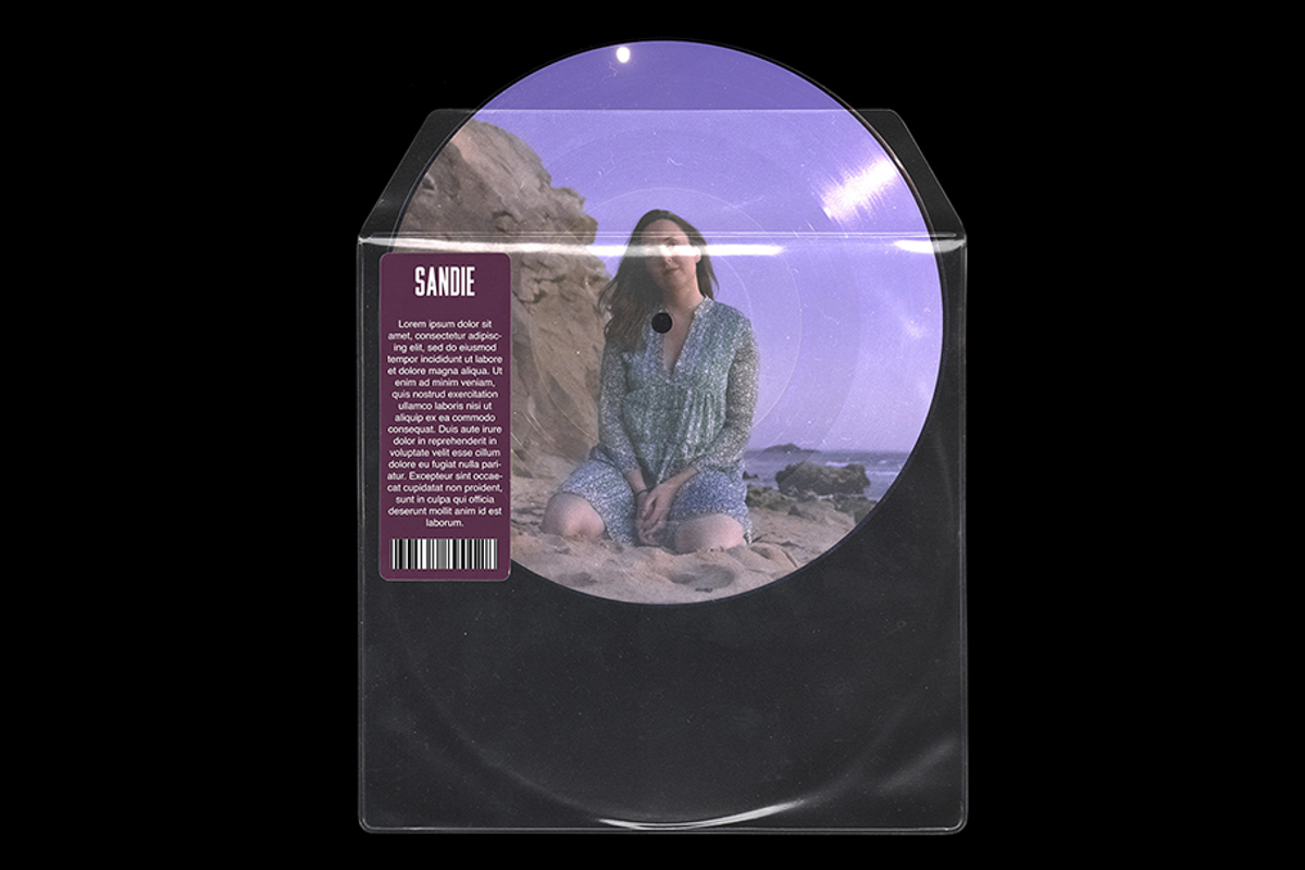 Picture Disc Vinyl MockUp, a Product Mockup by Melvin Nicolas Art (Photo 6 of 7)