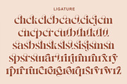 Monea - Serif Display Font, a Serif Font by Luna Shop (Thumbnail 2 of 12)