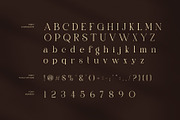 Sindora Elegant Serif Font, a Serif Font by Perfectype (Thumbnail 7 of 8)