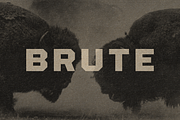 Brute, a Sans Serif Font by Deadbolt Design Lab (Thumbnail 1 of 5)