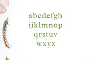 Jerricca Serif 4 Font Family Pack, a Serif Font by Creativetacos (Thumbnail 3 of 5)
