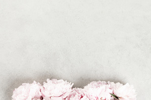 Soft Pink Peonies Border on Light Gray Background, a Beauty & Fashion Photo by Natalia Klenova's Shop