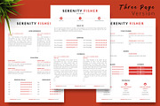 Modern Resume Bundle / CV - Serenity, a Resume Template by Templates Design Co. (Thumbnail 4 of 17)