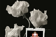 Dark Romance - Visual Archive, an Object Graphic by Natali Batu (Thumbnail 13 of 13)