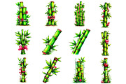 Watercolor Bamboo Stalk Clipart, an Illustration by DreamArtGraphic (Thumbnail 4 of 4)