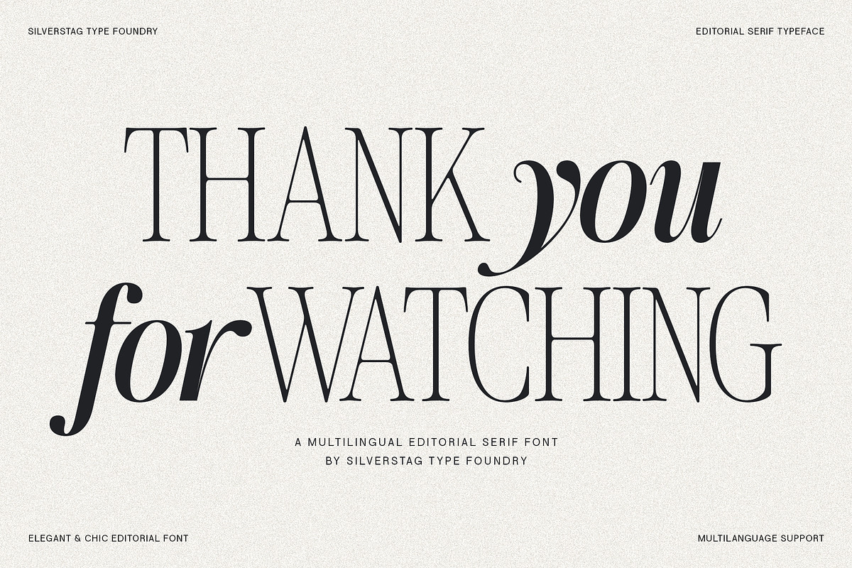 The Silver Editorial - 18 Fonts Pack, a Serif Font by SilverStag Type Foundry (Photo 30 of 30)