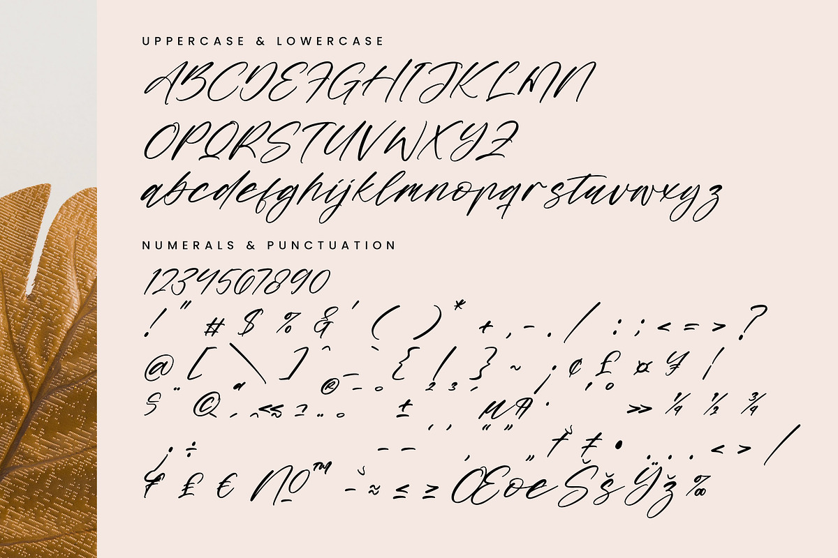 Midnight Horizon, a Script Font by Integritype Studio (Photo 13 of 15)