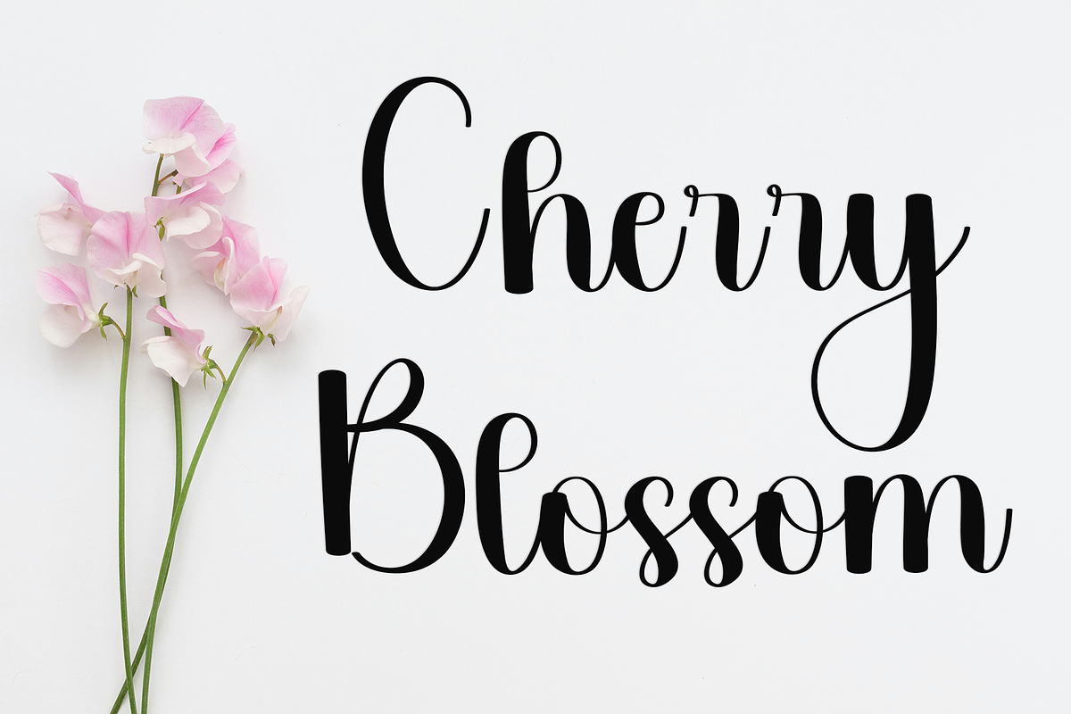 Heavenly, a Handwritten Font by InermediaSTUDIO (Photo 6 of 8)
