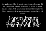 Gorogoro-Serif font, a Serif Font by portype (Thumbnail 4 of 5)