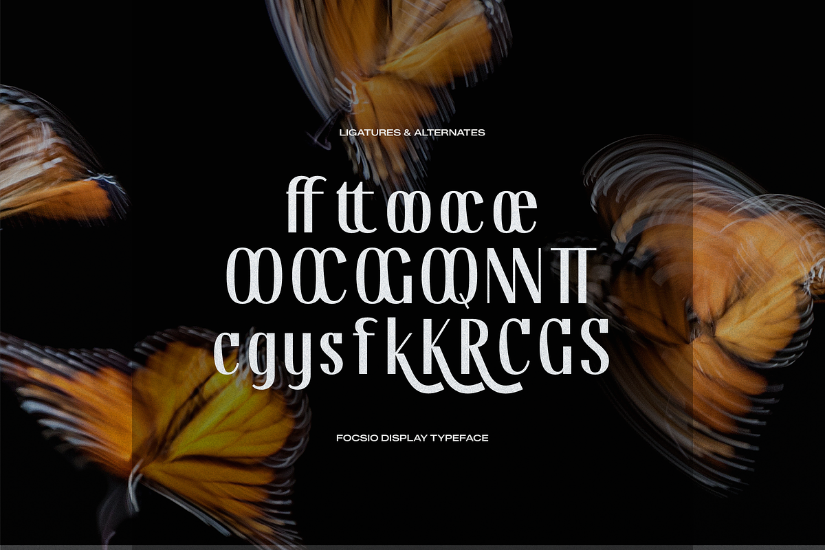 Focasio | Display Typeface, a Sans Serif Font by gracetype_studio (Photo 12 of 12)