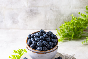 Fresh ripe blueberry berries in bowl, a Food & Drink Photo by Yulia Furman