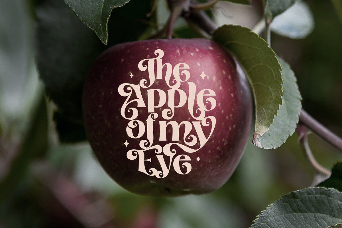 Bonello - Modern Display Font, a Font by creativemedialab (Photo 13 of 19)