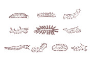 Breeds Caterpillar Handdrawn Vol 2, an Animal Illustration by SLAB! Design (Thumbnail 3 of 3)