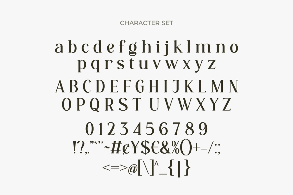 Herkey Display Serif Font, a Serif Font by Burhan Afif (Photo 8 of 10)