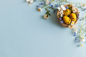 Happy Easter! Modern yellow eggs in nest with spring blossom fla, a Holiday Photo by Sonjachni
