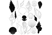 Seashells svg bundles vector 21, a Graphic by Fresh art by Larysa (Thumbnail 2 of 5)