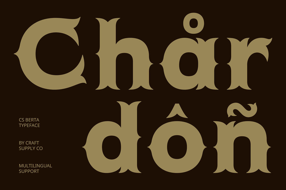CS Berta – Tuscan Font, a Serif Font by Craft Supply Co. (Photo 5 of 8)