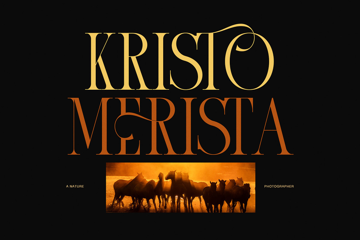 Lonad Elegant Serif Display Font, a Serif Font by Graphicxell (Photo 2 of 8)