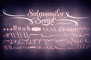 Salamander Script, a Script Font by Fenotype (Thumbnail 3 of 5)